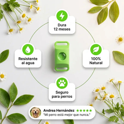 PawCore - 12 Meses de Protección Antipulgas y Garrapatas 100% Natural para Perros