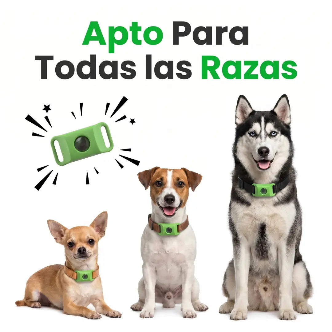 PawCore - 12 Meses de Protección Antipulgas y Garrapatas 100% Natural para Perros