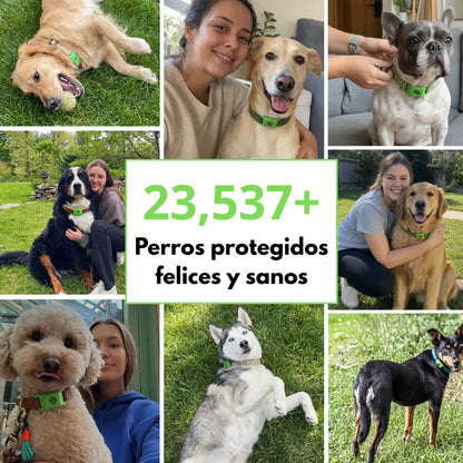 PawCore - 12 Meses de Protección Antipulgas y Garrapatas 100% Natural para Perros
