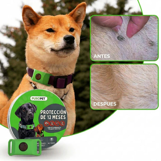 Colgante PuroPet™ Natural Anti Pulgas y Garrapatas